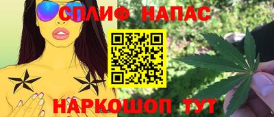 ECSTASY Новозыбков