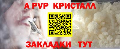 ECSTASY Новозыбков